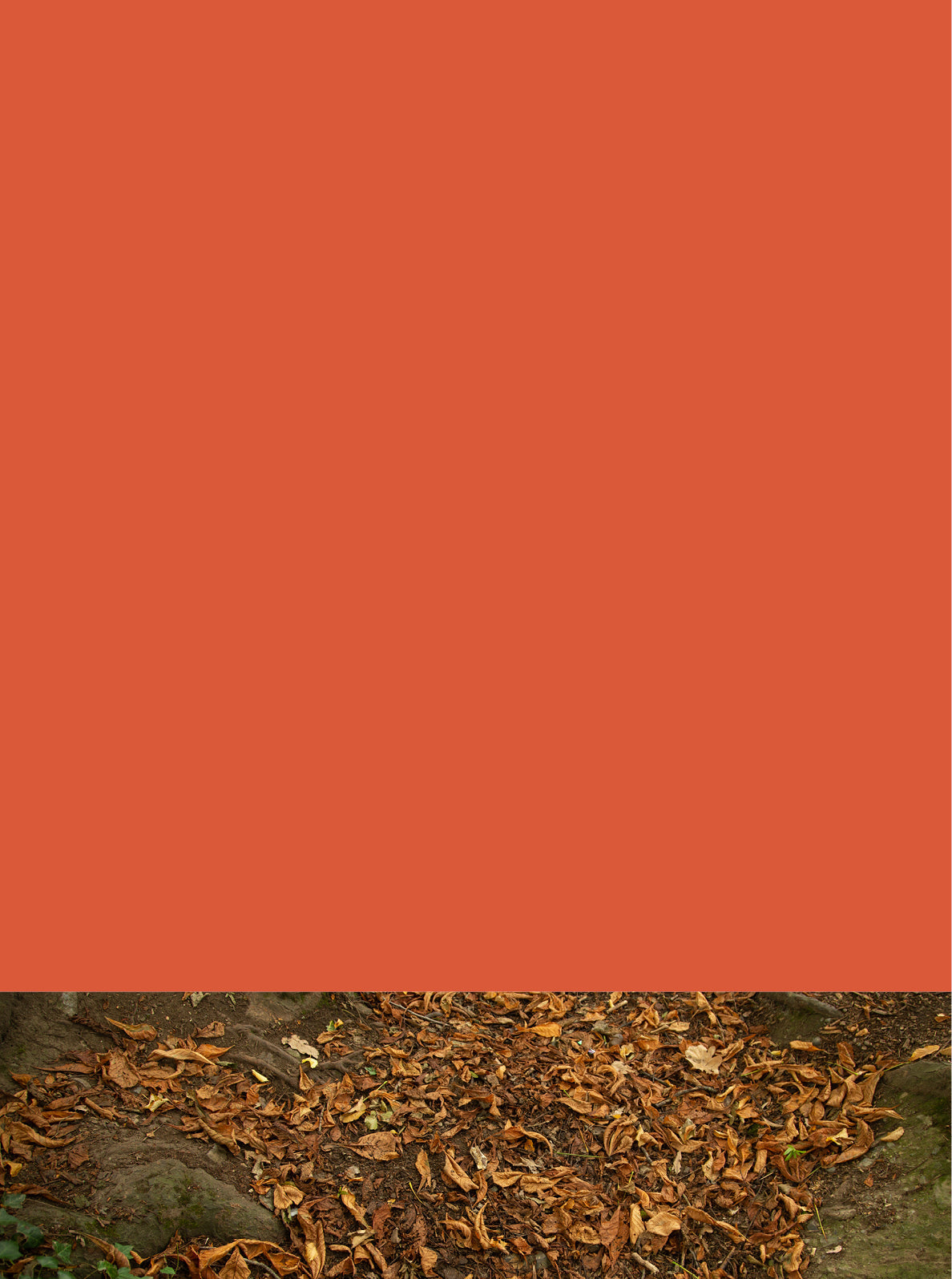 Rustles Leaf Rustling Leaves - Curator Paints EU