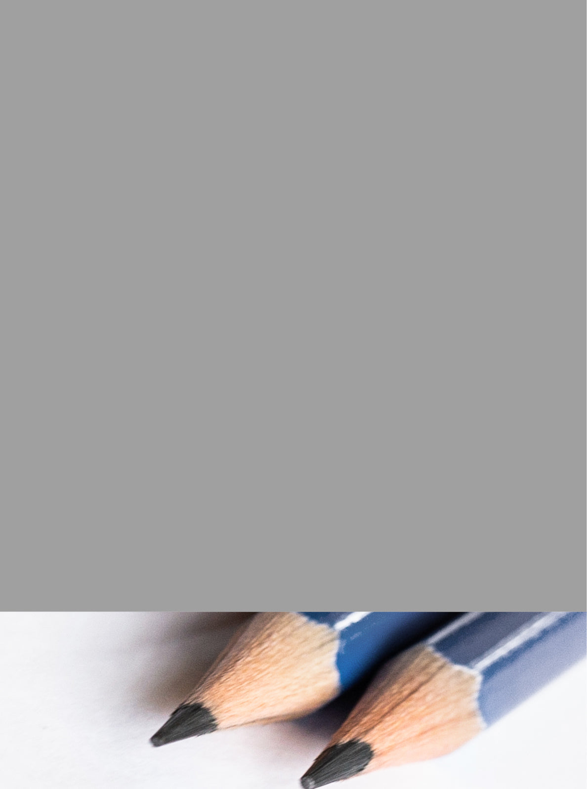 Curator High Quality Premium European Irish Netherland Paint Grey