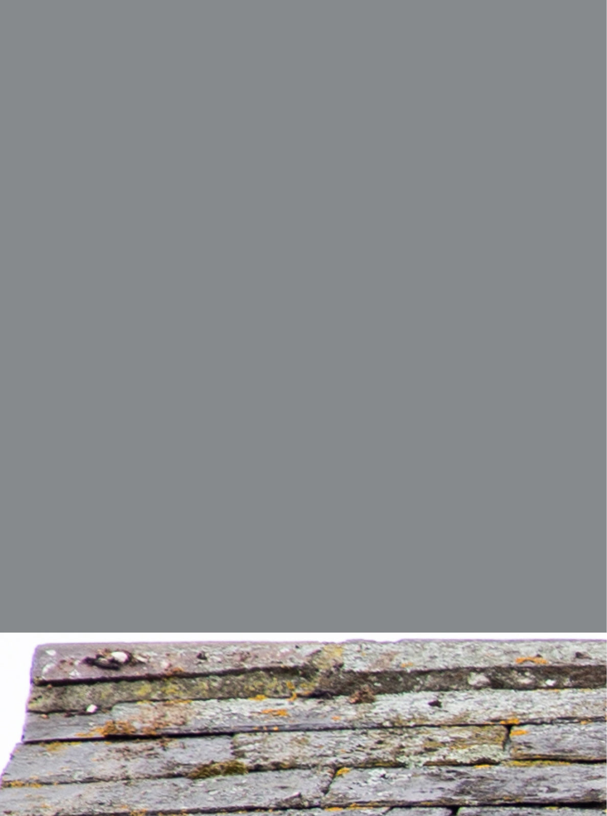 Curator High Quality Premium European Irish Netherland Paint Grey