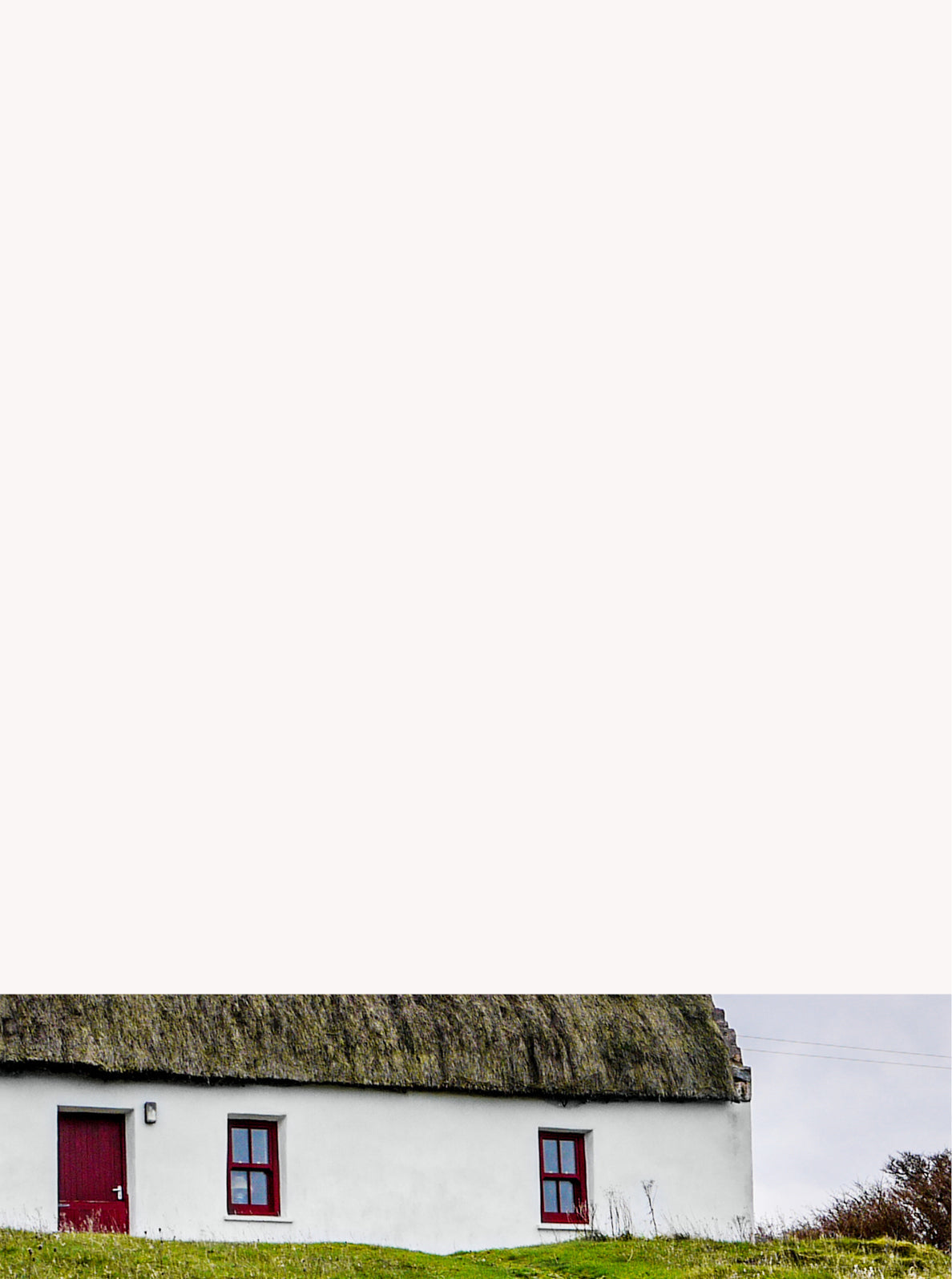 Curator High Quality Premium European Irish Netherland Paint White colour